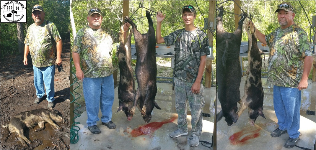 After a morning Guided Hog Hunt at Swine In The Pines